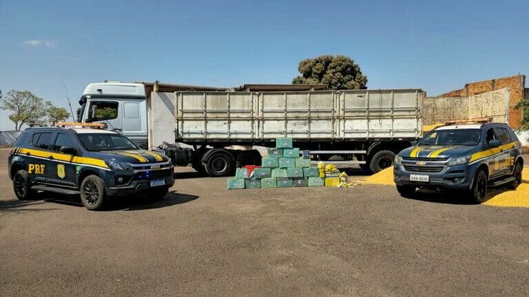 Imagem de compartilhamento para o artigo PRF apreende mais de 450 kg de drogas escondidas em caminhão de milho em Três Lagoas da MS Todo dia